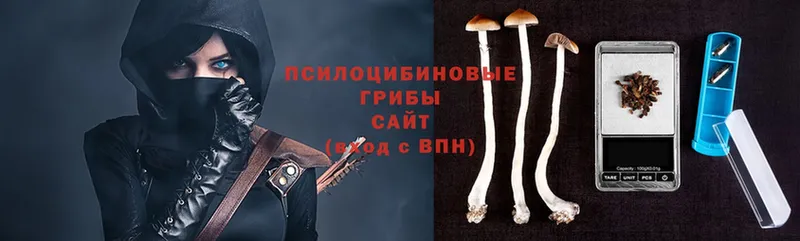 Псилоцибиновые грибы MAGIC MUSHROOMS  Кунгур 