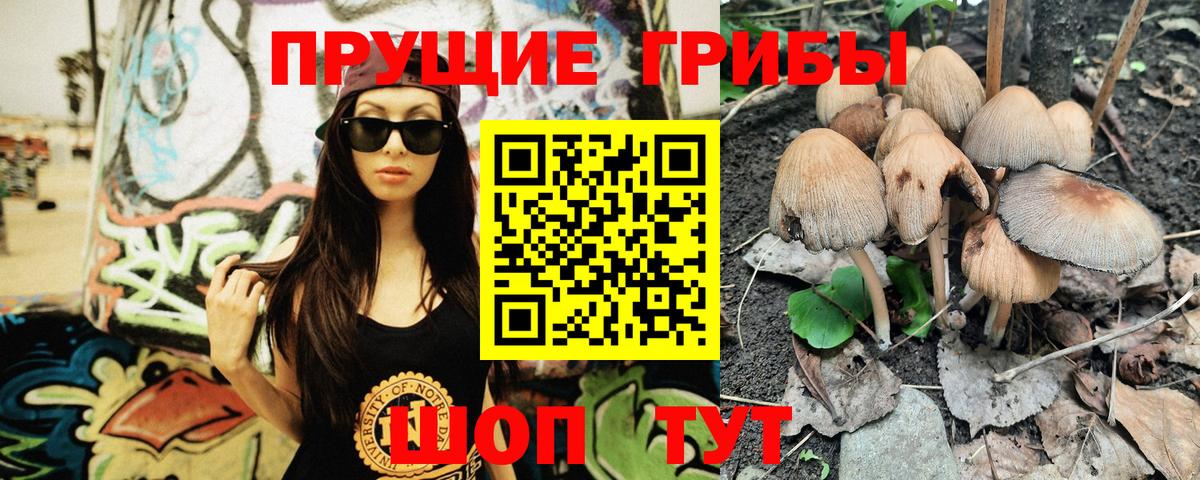 Галлюциногенные грибы мухоморы  Псилоцибиновые грибы Psilocybe  Кунгур 