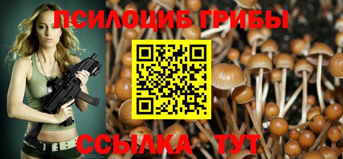 Кунгур  Псилоцибиновые грибы Psilocybe  Вход с VPN  Галлюциногенные грибы Cubensis 